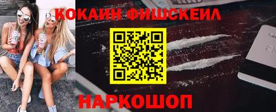 мдпв Камышлов