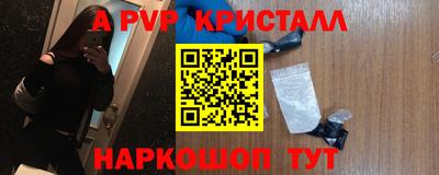 мдпв Камышлов