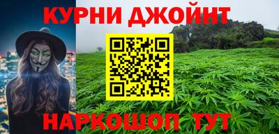 мдпв Камышлов